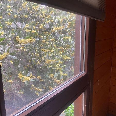 סנט קוגאט דל ואייס Apartamentos El Bosquet מראה חיצוני תמונה
