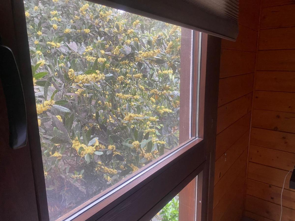 סנט קוגאט דל ואייס Apartamentos El Bosquet מראה חיצוני תמונה