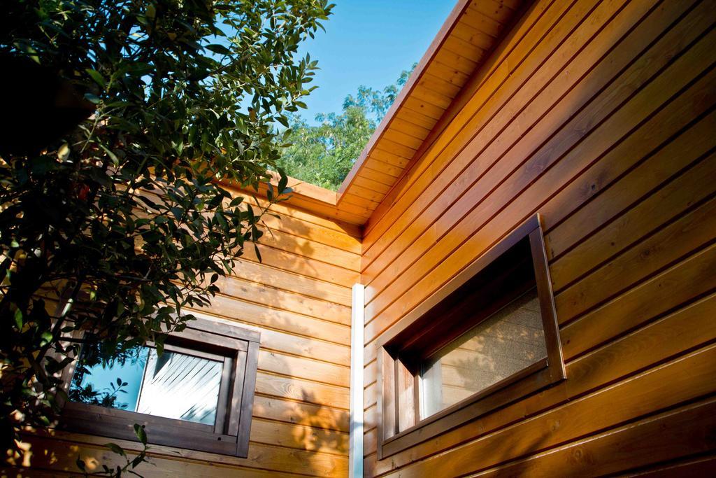סנט קוגאט דל ואייס Apartamentos El Bosquet מראה חיצוני תמונה